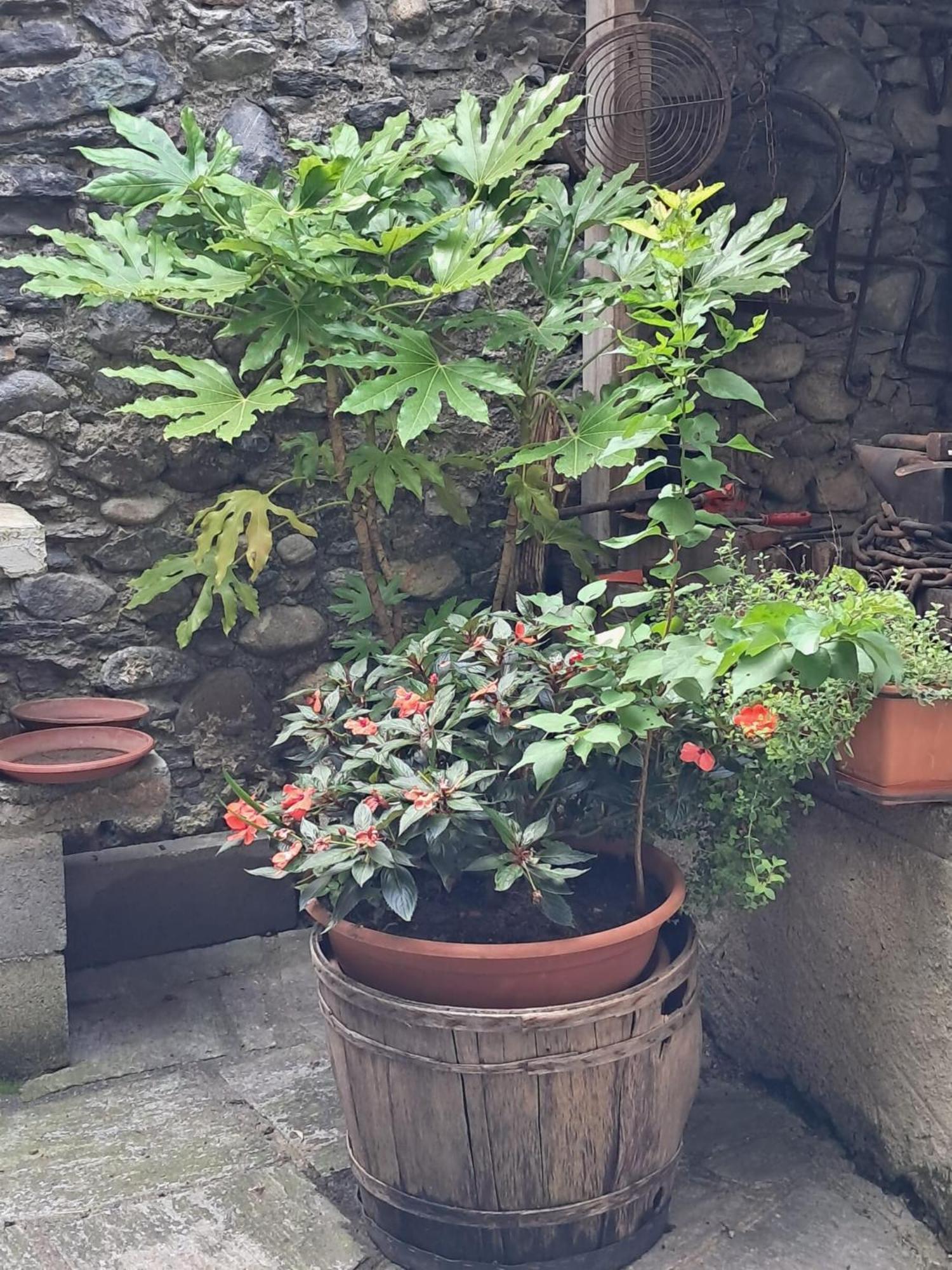 카스텔베카나 Nonna Anita B&B 외부 사진